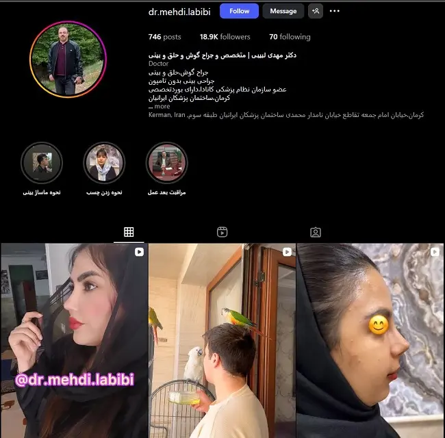 دکتر مهدی لبیبی کرمان