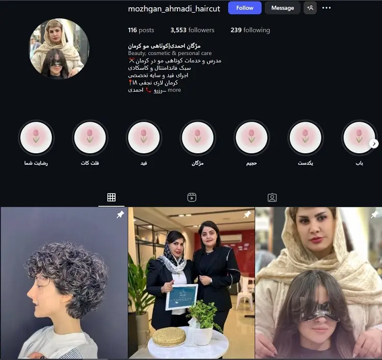 مژگان احمدی، بهترین کوپ کار کرمان